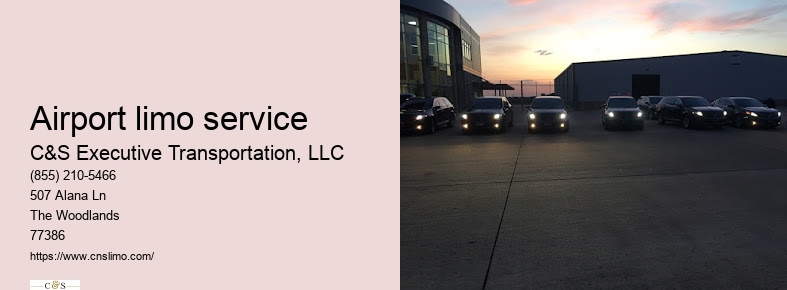 Houston airport taxi and limousine service