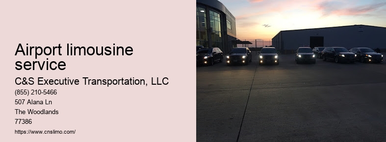 Houston limousine service airport