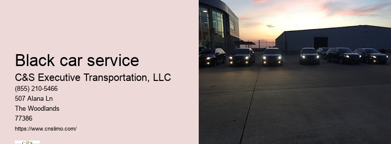 Airport limousine service