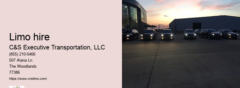 Chauffeur service Houston TX