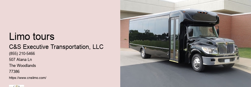 Houston limousine service