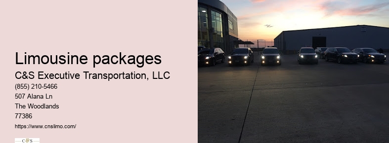 C&S Executive Transportation The Woodlands TX