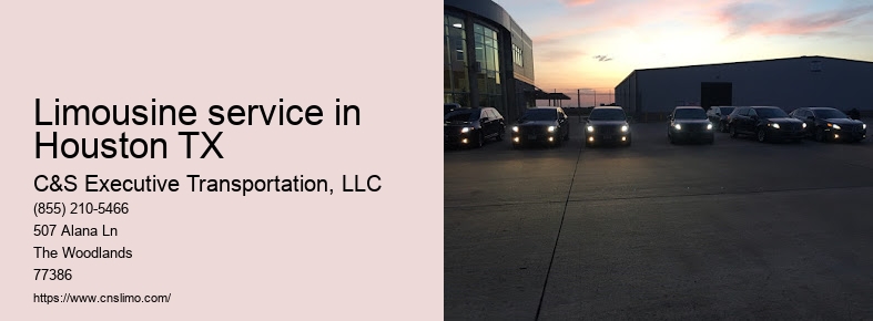 Private black town car service Houston TX