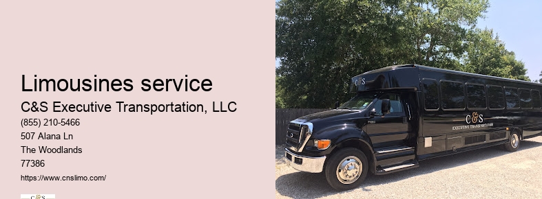 Houston limousine service