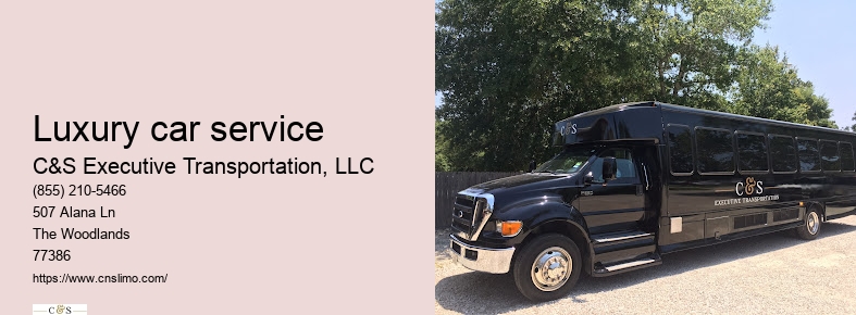 Houston limousine service airport