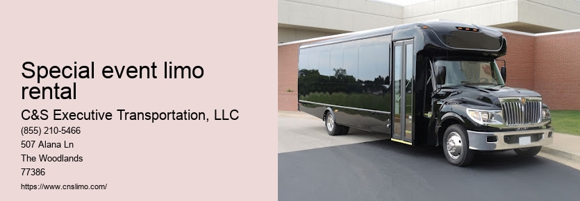 Limousine company